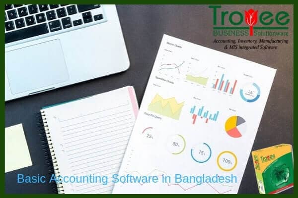 Basic Accounting Software in Bangladesh Troyee