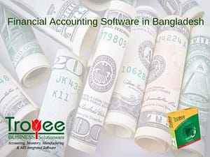 Read more about the article Financial Accounting Software in Bangladesh